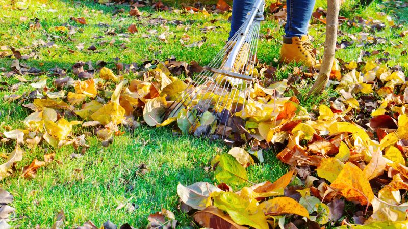 Leaf Raking Techniques