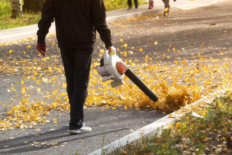 Leaf Blowing Benefits