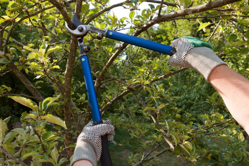 Pruning Tools in Use