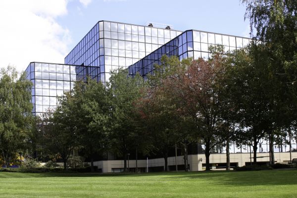 Commercial Tree Trimming in Bloomington